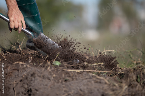 Wallpaper Mural Una persona trabajando la tierra con su pala Torontodigital.ca