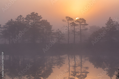 Swamp lake with islands in misty morning