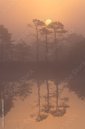 Swamp lake with islands in misty morning