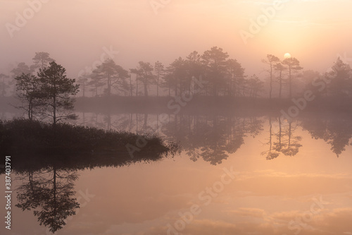Swamp lake with islands in misty morning