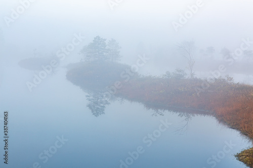 misty morning in the swamp lake