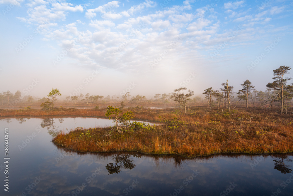 misty morning in the swamp lake