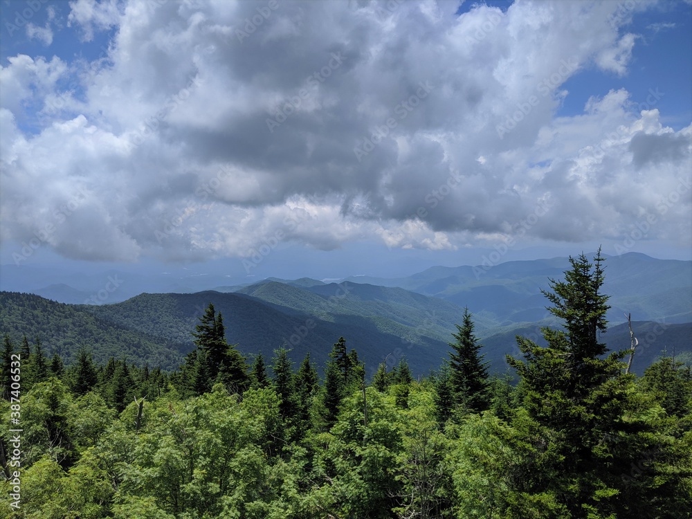 Clouds over Rolling Mountains with Pine Trees in the Foreground Clouds over Rolling Mountains with Pine Trees in the Foreground