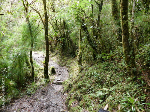 Der Podocarpus-Nationalpark  spanisch  Parque Nacional Podocarpus  ist ein bedeutender Nationalpark im S  dosten Ecuadors. Gr  ndung 1982. Fl  che 1462 80 km2