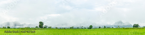 Phuphaman district mountain landscape with front green rice farm background