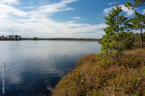 Swamp lake with islands in sunny days