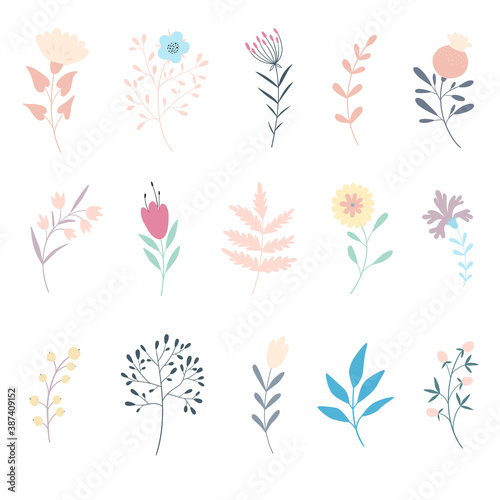 set of floral elements. Flat style