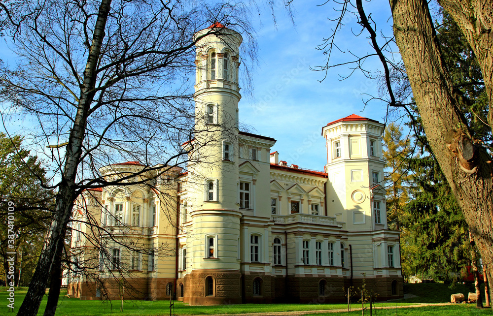 Fototapeta premium Zamek Pałac Zabytek Pomnik Rzeźba