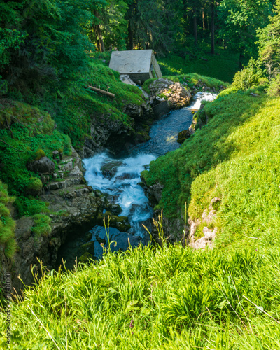 Ruisseau coulant dans un vallon ensoleill   dans la for  t et les montagnes de Suisse  avec de la v  g  tation  de l herbe et des arbres