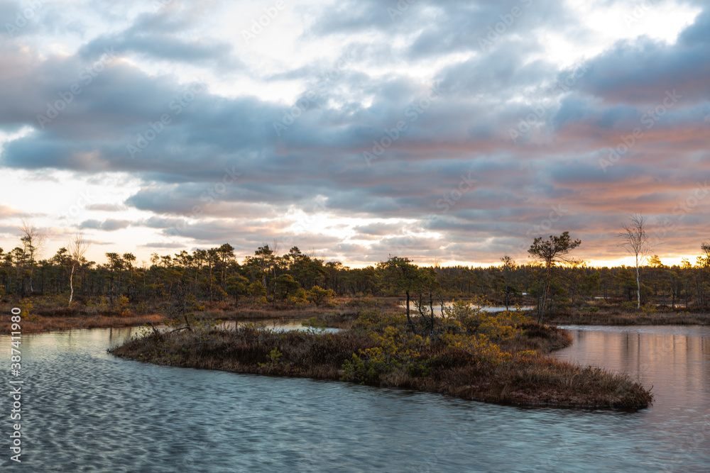 Fototapeta premium Swamp lake with islands in sunny day and sunrise