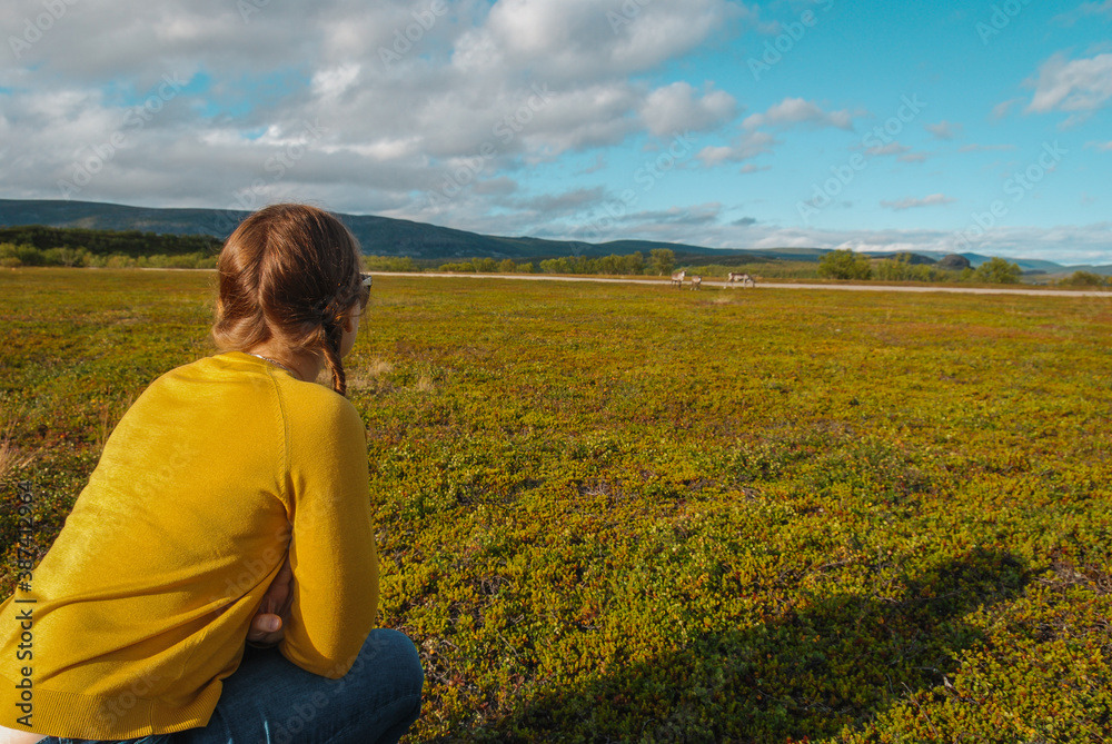 A girl watching wild reindeer family grazing on a meadow in Norway A girl watching wild reindeer family grazing on a meadow in Norway