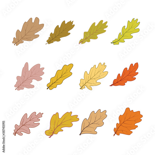 oak_leaves