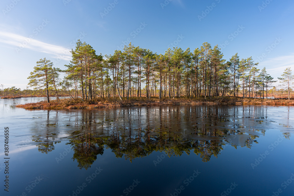 Swamp lake with islands in sunny day