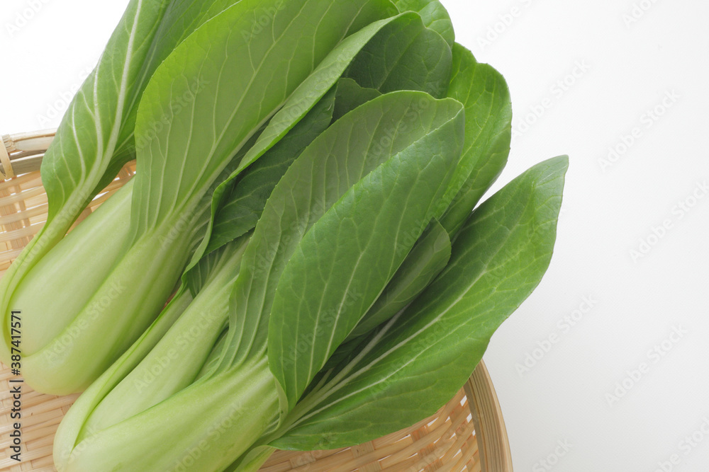 Obraz premium チンゲンサイ