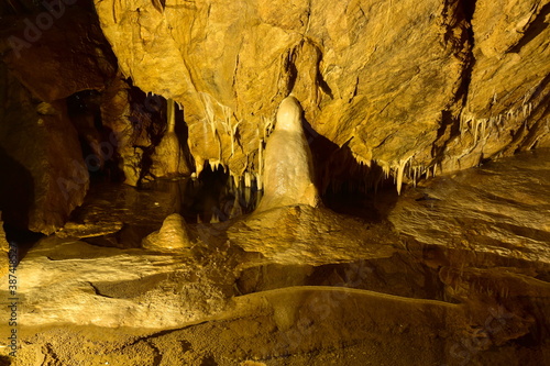Jaskinia Niedźwiedzia w Kletnie kolo Stronia Śląskiego odkryta w 1966 roku. W miejscu tym odkryto szkielety niedźwiedzia jaskiniowego, lwa jaskiniowego i wiele innych zwierząt plejstocenskich