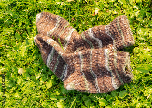photo with knitwear and flowers on a background of green grass, beautiful knit texture, blurred background, autumn