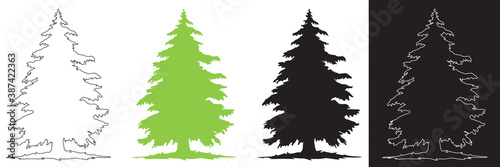 SILHOUETTE DE SAPIN