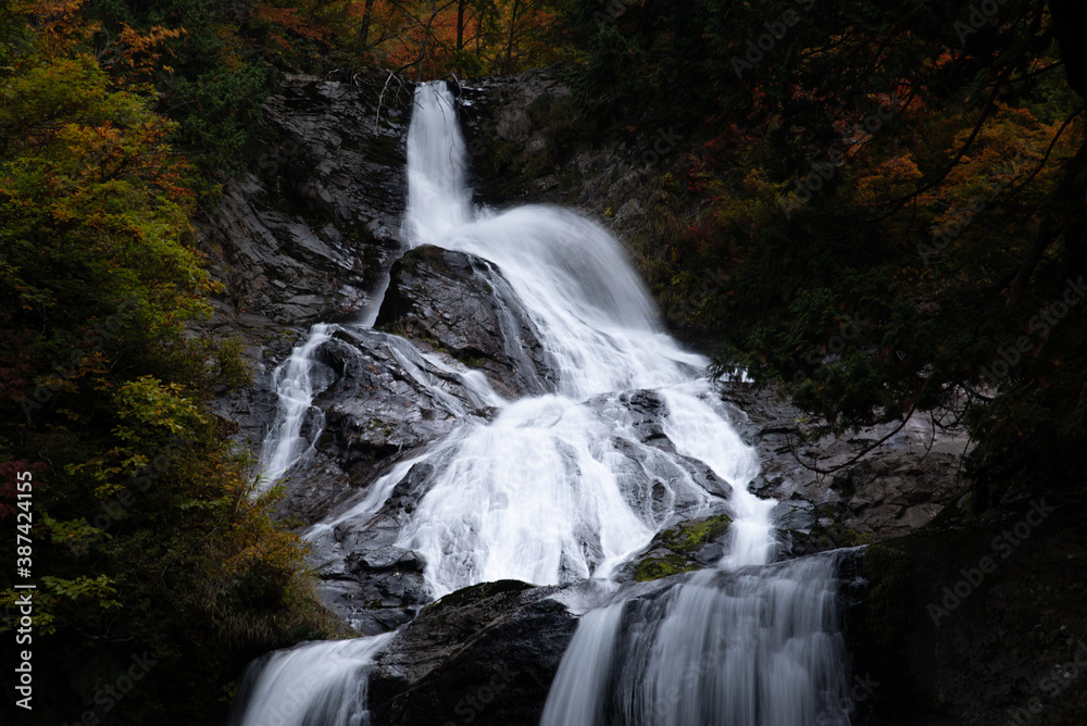 Obraz premium 中の滝