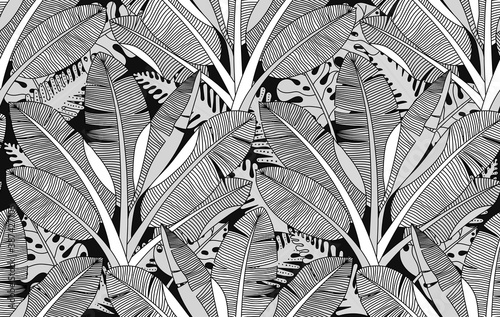 Black and white exotic plant and palm tree  botanical illustration. Bananas tree vector seamless pattern. Tropical plants and trees adult colouring zentangle book page.