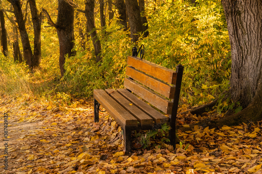 Bench in the Park ,Golden autumn in October.