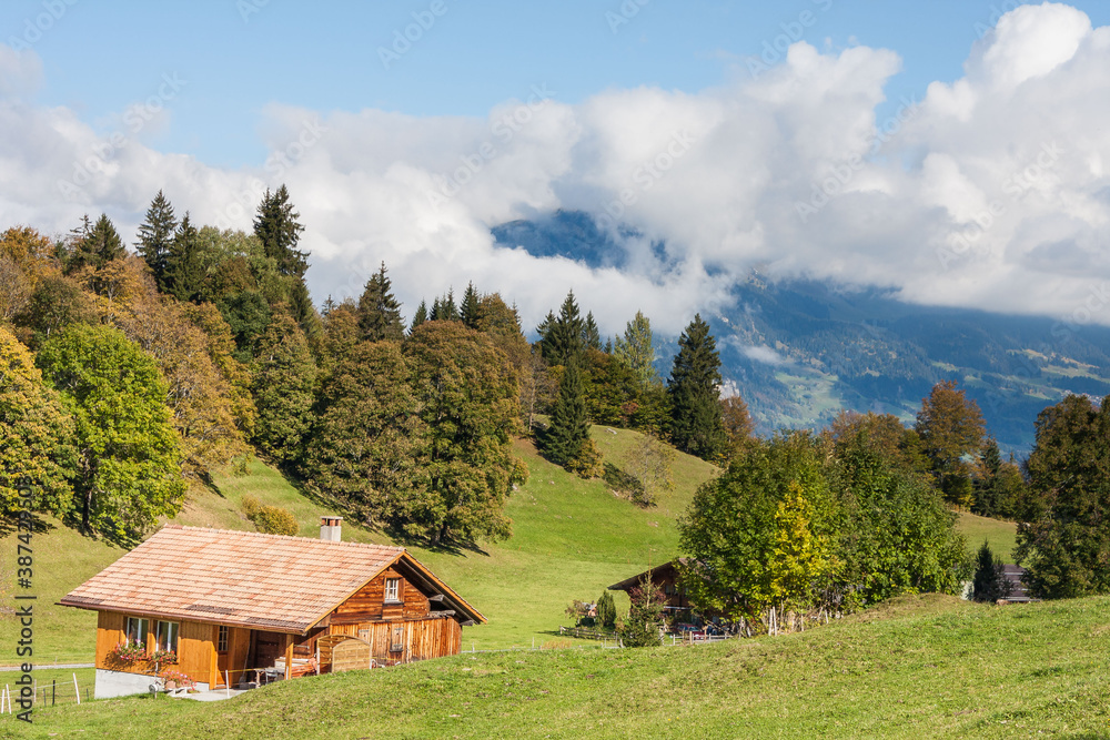 Swiss Alpine Meadow and Chalet 