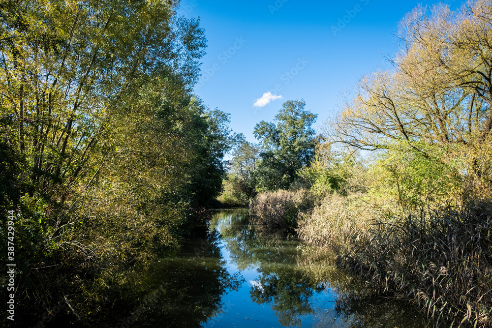 Forest trees reflecting in the water of a small river, with blue skies overhead. Taken in Feuchtwangen, Germany in late summer. Forest trees reflecting in the water of a small river, with blue skies overhead. Taken in Feuchtwangen, Germany in late summer.