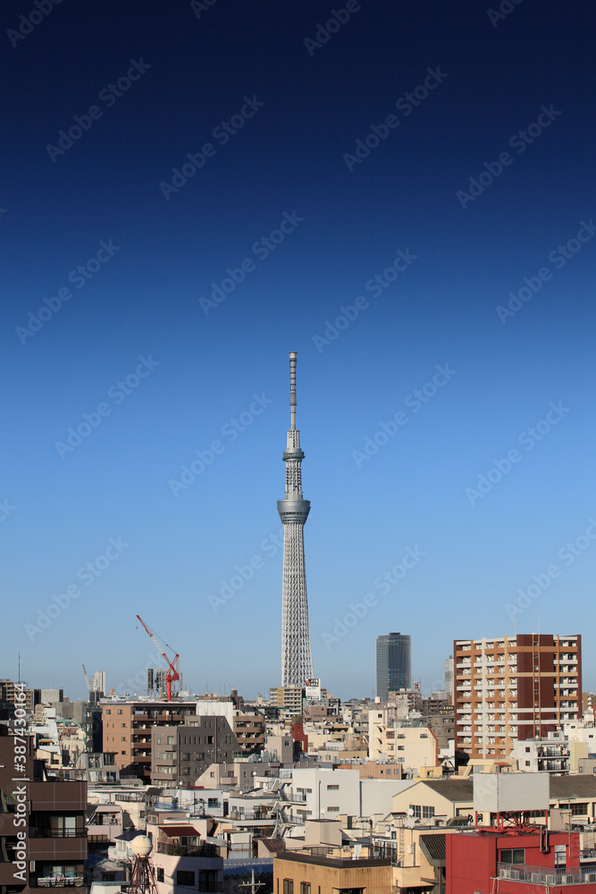 スカイツリー遠景