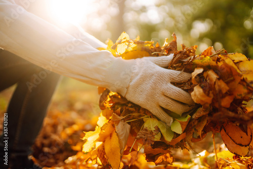 Cleaning of autumn leaves in the park. Male hand in gloves collects and piles fallen autumn leaves  in the fall season. Volunteering  cleaning  and ecology concept.