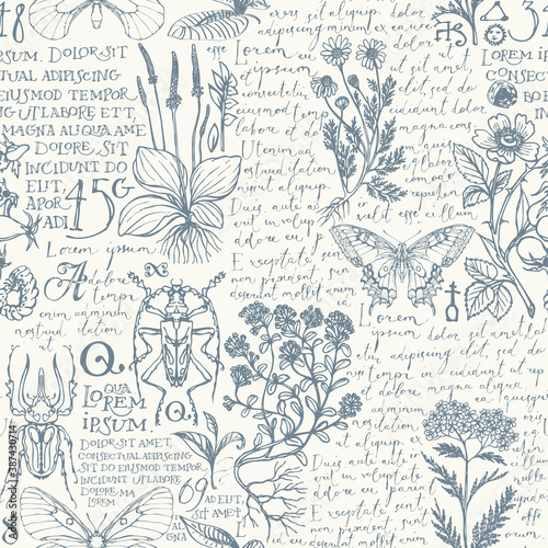 Vector seamless pattern with medicinal herbs, insects and handwritten text Lorem Ipsum. Retro style hand-drawn herbs, beetles, butterflies on an a light background. Wallpaper, wrapping paper, fabric photo