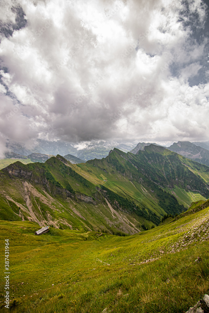 Fototapeta premium Landscape with Swiss Alps mountains and green nature. Photo taken at Fluebrig.
