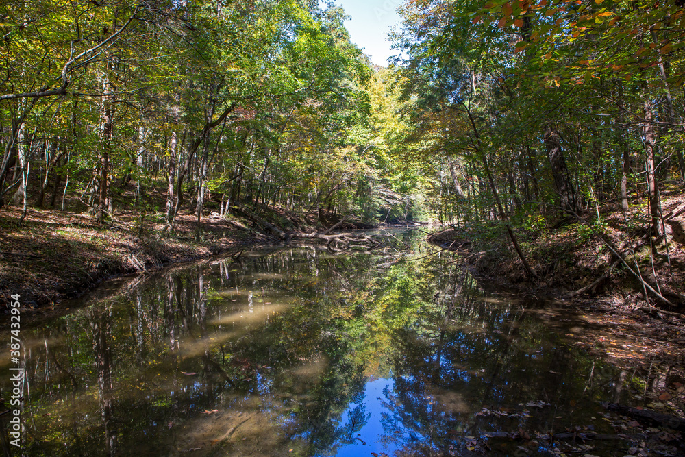 Bright sunlight casts reflections of trees in a calm creek flowing through a forest.
