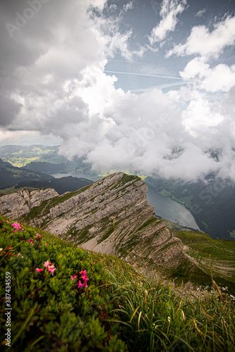 Panoramic view of a high altitude meadow, of the Swiss Alps, colorful flowers in the foreground. photo