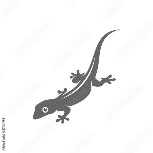Lizard logo design vector template, Illustration design Lizard, Symbol Icon © shuttersport