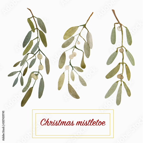 Watercolor illustration of a mistletoe plant. Hand-drawn with watercolors and suitable for all types of design and printing.
