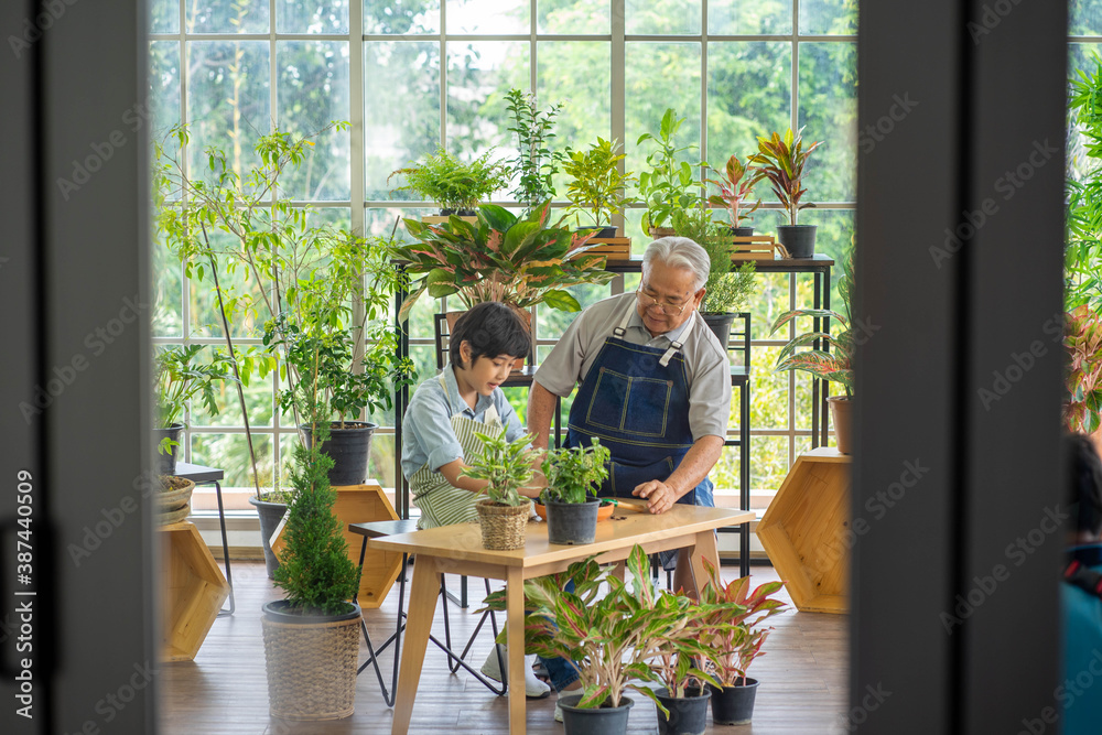 senior Asian man gardening with grandson holding soil for green plant in indoor greenhouse backyard. New normal social distancing work from home concept. senior Asian man gardening with grandson holding soil for green plant in indoor greenhouse backyard. New normal social distancing work from home concept.