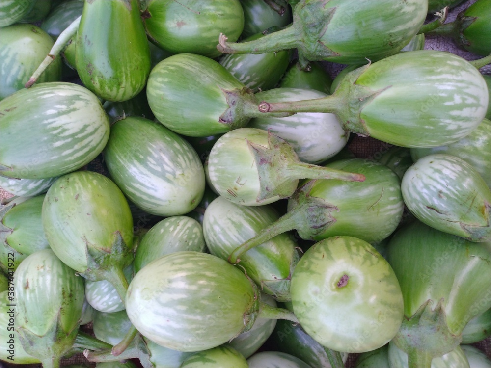 Round Green Brinjal