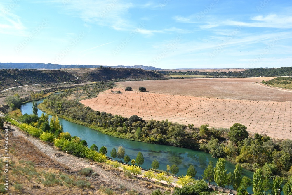 Views of the Tajo river, fields of cultivation and plantation of pistachio trees.