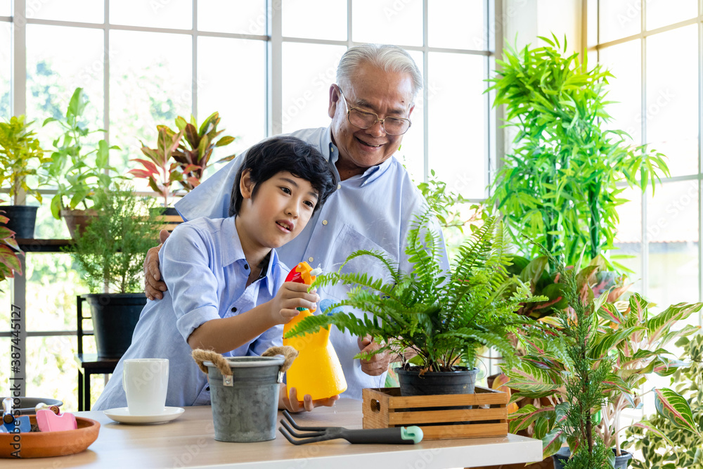 Asian senior man and young boy gardening together. Grandfather and grandson happy working in glasshouse with plants. Multi generation activity and family relationship concept. Asian senior man and young boy gardening together. Grandfather and grandson happy working in glasshouse with plants. Multi generation activity and family relationship concept.