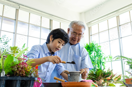 Asian senior man and young boy gardening together. Grandfather and grandson happy working in glasshouse with plants. Multi generation activity and family relationship concept. Focus at senior.