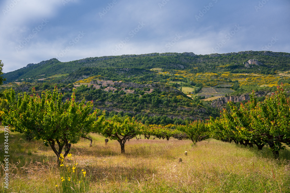 Vue sur le village de Vercoiran en Provence
