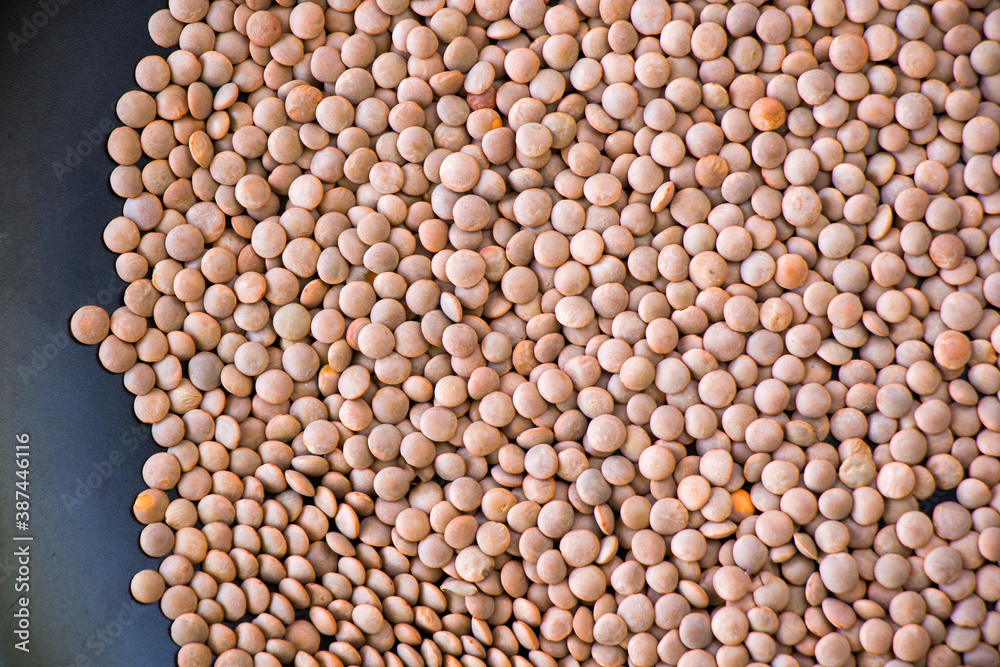 Healthy grains, green lentils and full of vitamins Healthy grains, green lentils and full of vitamins