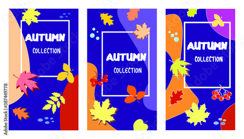 Set of autumn vector backgrounds with leaves for promo poster and frame leaflet or web banner and social media
