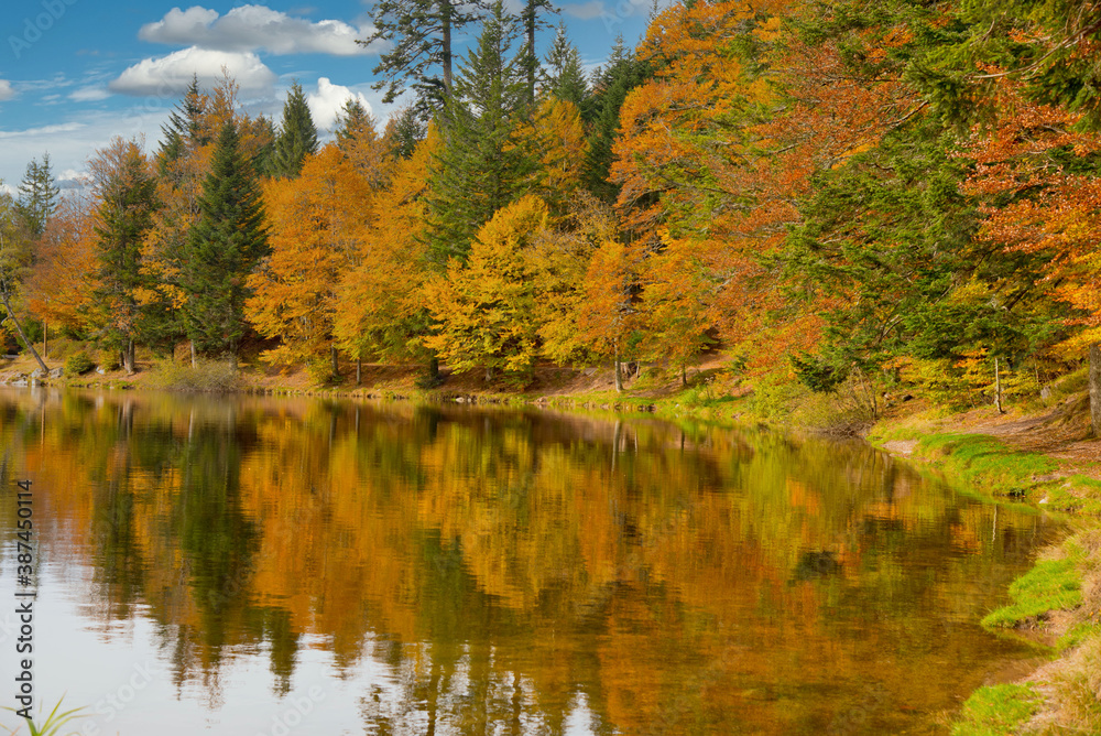 Herbstlicher Lac de Lispach in den Vogesen