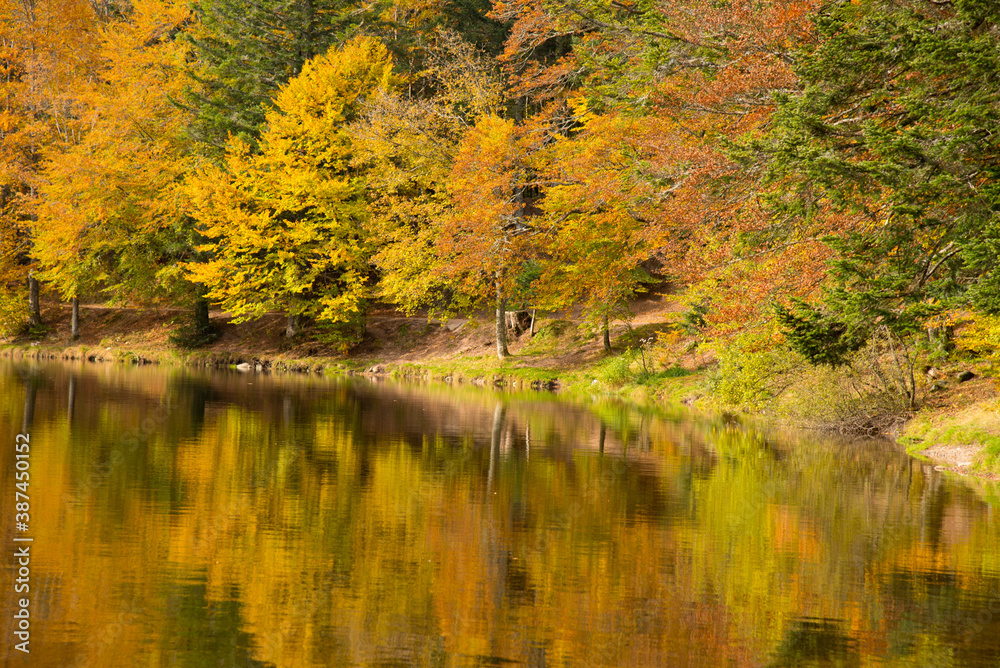 Herbstlicher Lac de Lispach in den Vogesen