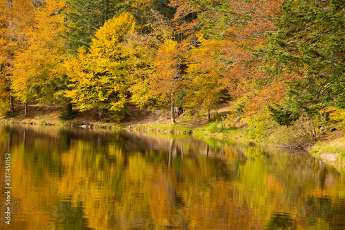 Herbstlicher Lac de Lispach in den Vogesen © Tanja Voigt 