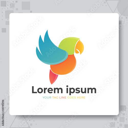 Parrot lovebird Logo template