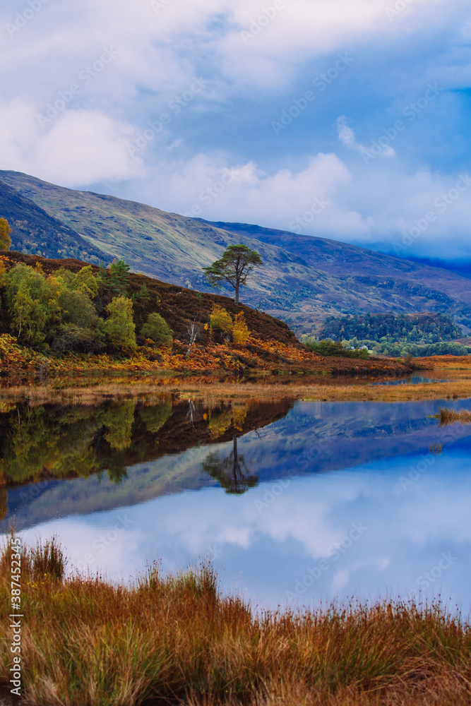 Portrait of a  Scottish Loch in Autumn. Glen Strathfarrar, Scottish Highlands.  Reflection of a lone Caledonian Pine Tree in the calm, still waters of the loch.  Vertical, Portrait, Space for copy