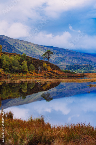 Portrait of a Scottish Loch in Autumn. Glen Strathfarrar, Scottish Highlands. Reflection of a lone Caledonian Pine Tree in the calm, still waters of the loch. Vertical, Portrait, Space for copy