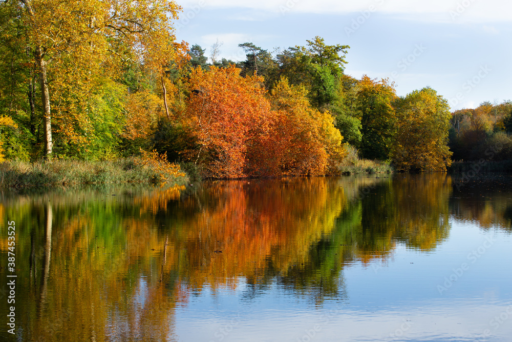 Couleurs d'automne sur le lac