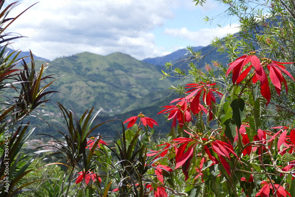 Vilcabamba, das Tal der Langlebigen. Der Name kommt aus dem Quechua und bedeutet „Heiliges Tal“. Vilcabamba ist bekannt für eine angeblich hohe Lebenserwartung seiner Bewohner.